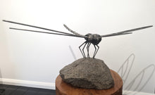 Load image into Gallery viewer, Dragonfly