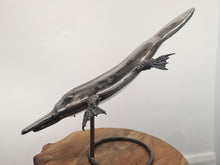 Load image into Gallery viewer, Platypus