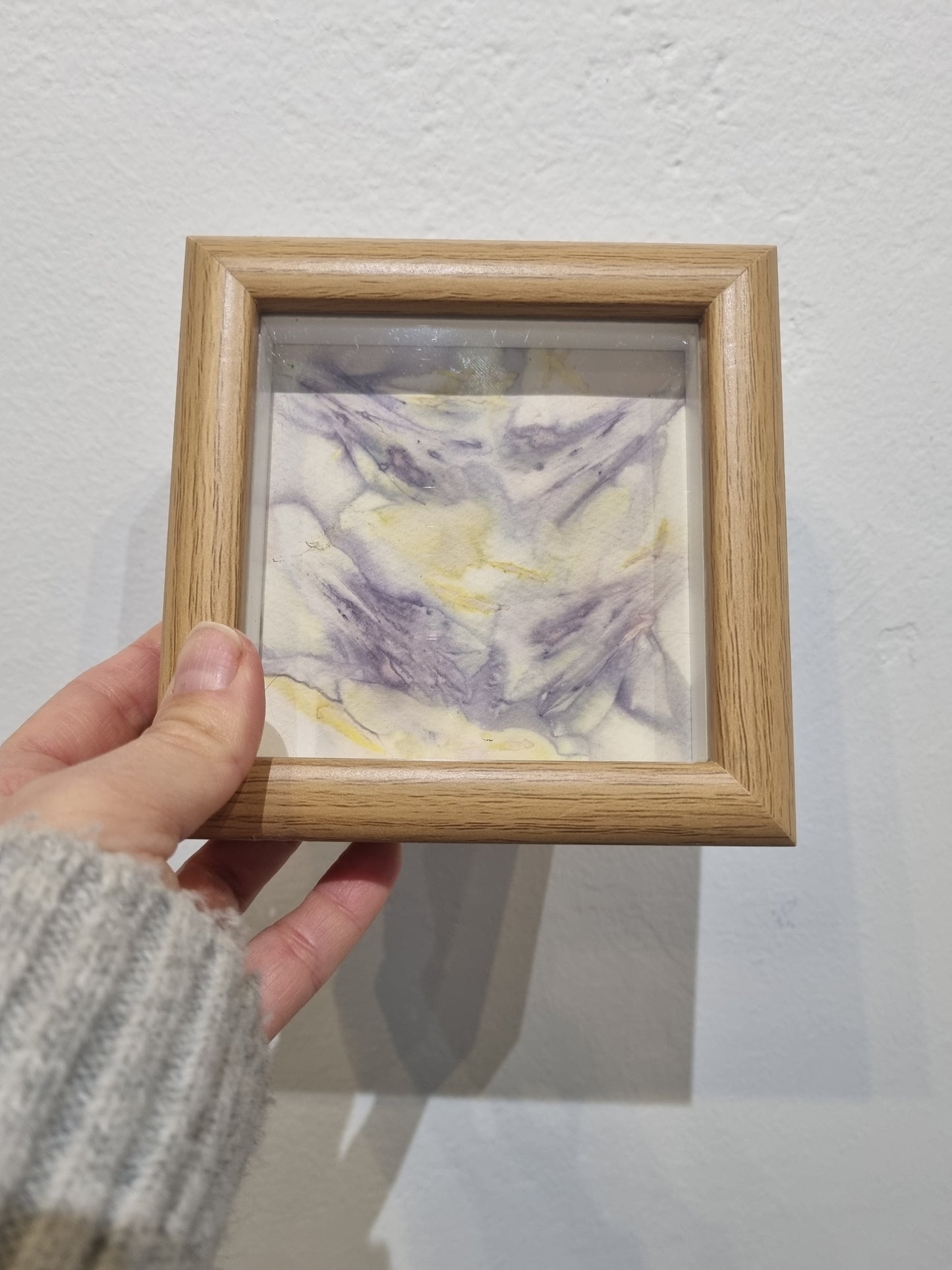 Small Framed Eco Prints