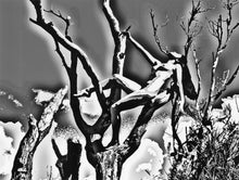 Load image into Gallery viewer, Digital Prints on Canson Paper (artworks 1 - 22)