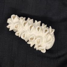 Load image into Gallery viewer, Seed Pod Series (ENTER HERE-USE DROP DOWN MENU)