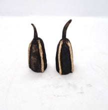 Load image into Gallery viewer, Seed Pod Series (ENTER HERE-USE DROP DOWN MENU)