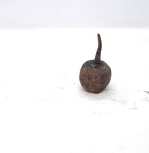 Load image into Gallery viewer, Seed Pod Series (ENTER HERE-USE DROP DOWN MENU)