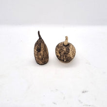 Load image into Gallery viewer, Seed Pod Series (ENTER HERE-USE DROP DOWN MENU)