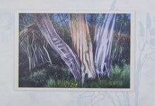 Load image into Gallery viewer, Gift Cards by Jim Preece