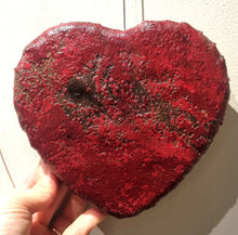 Load image into Gallery viewer, EMPFYSCLO Installation (2025)