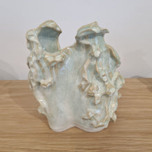 Load image into Gallery viewer, Dual Vase