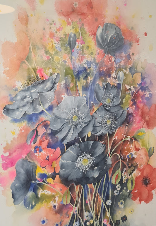 Poppies