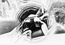 Load image into Gallery viewer, Digital Prints on Canson Paper (artworks 1 - 22)