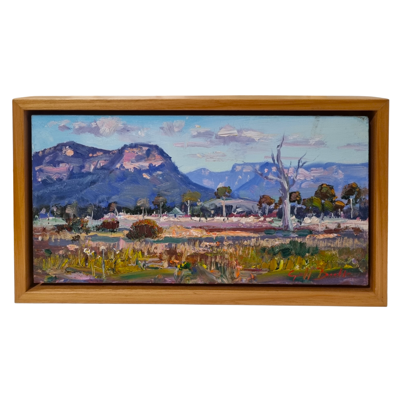 Afternoon in Capertee Valley NSW