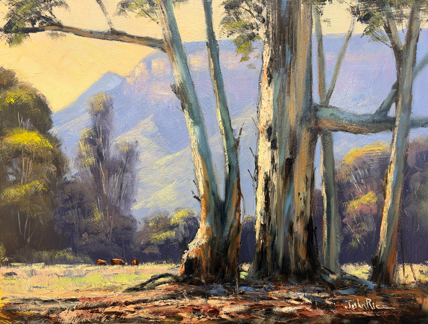 Afternoon In The Valley (Acquired by Nationwide Curating for upcoming promotion)