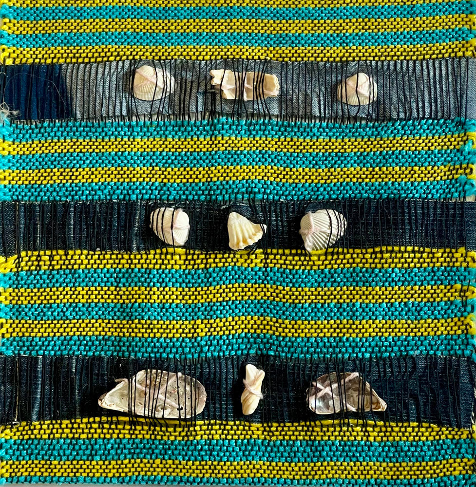 Cats Eyes and Shells