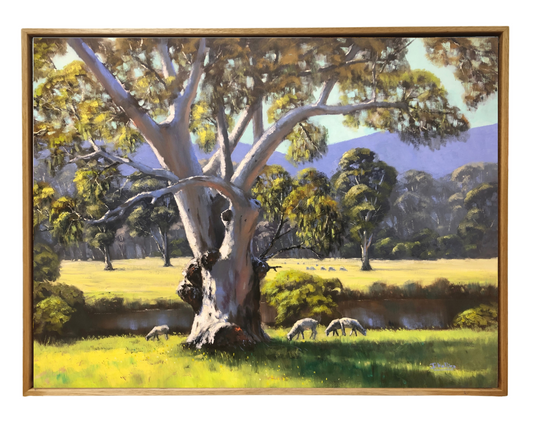 Crudine Sheep Country