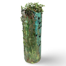 Load image into Gallery viewer, The Forest