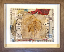 Load image into Gallery viewer, EMPFYSCLO Installation (2025)