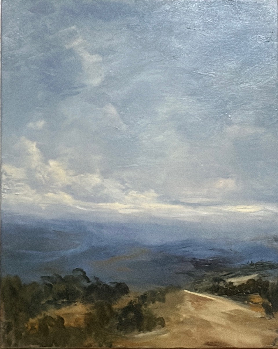 View from Moyne Farm 3