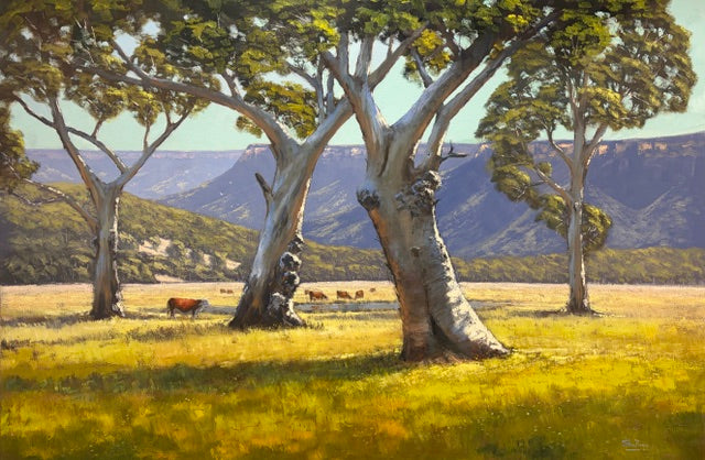 Valley View