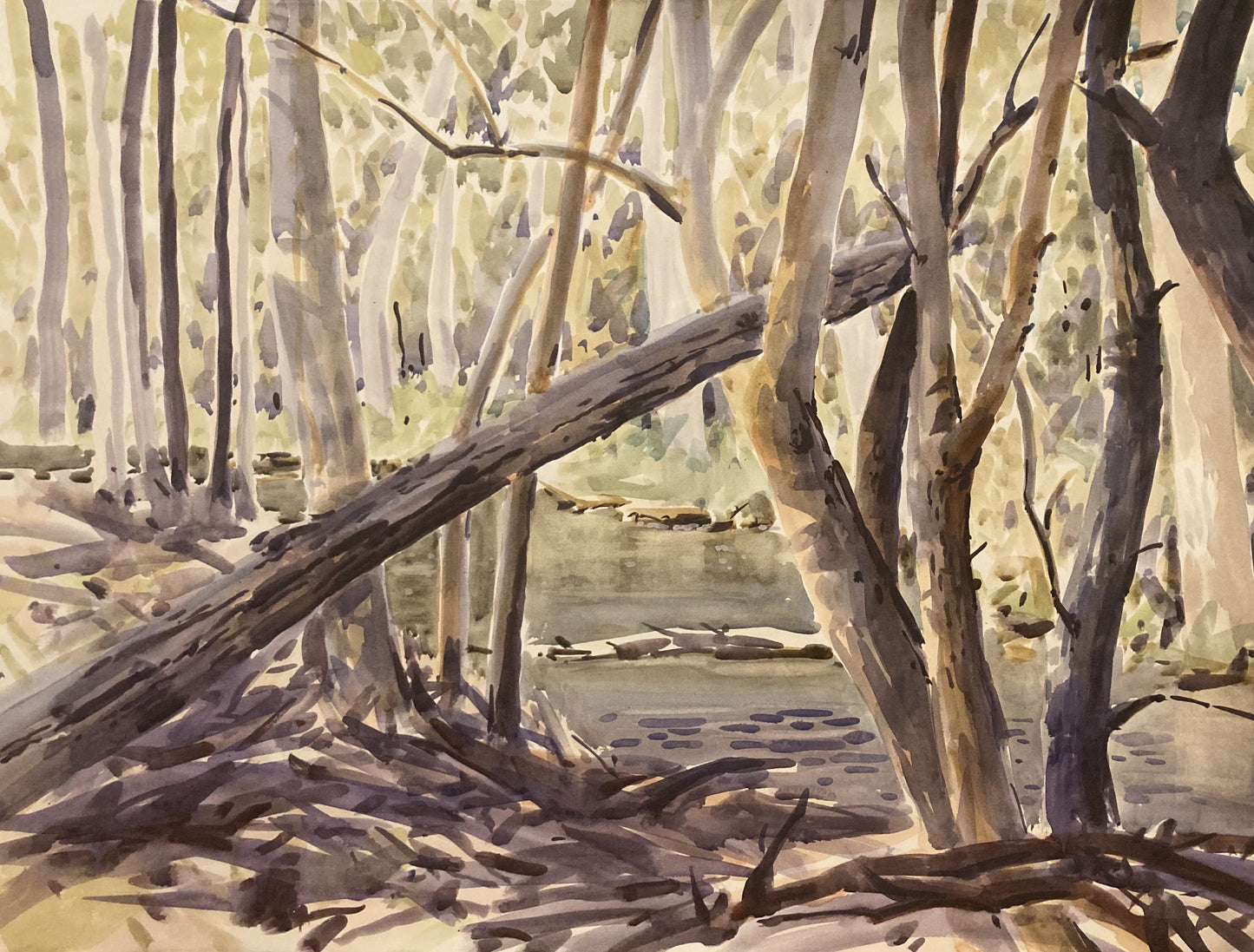 Autumn on the Cotter