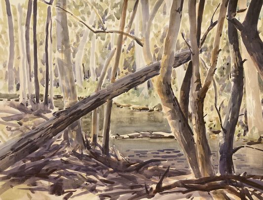 Autumn on the Cotter