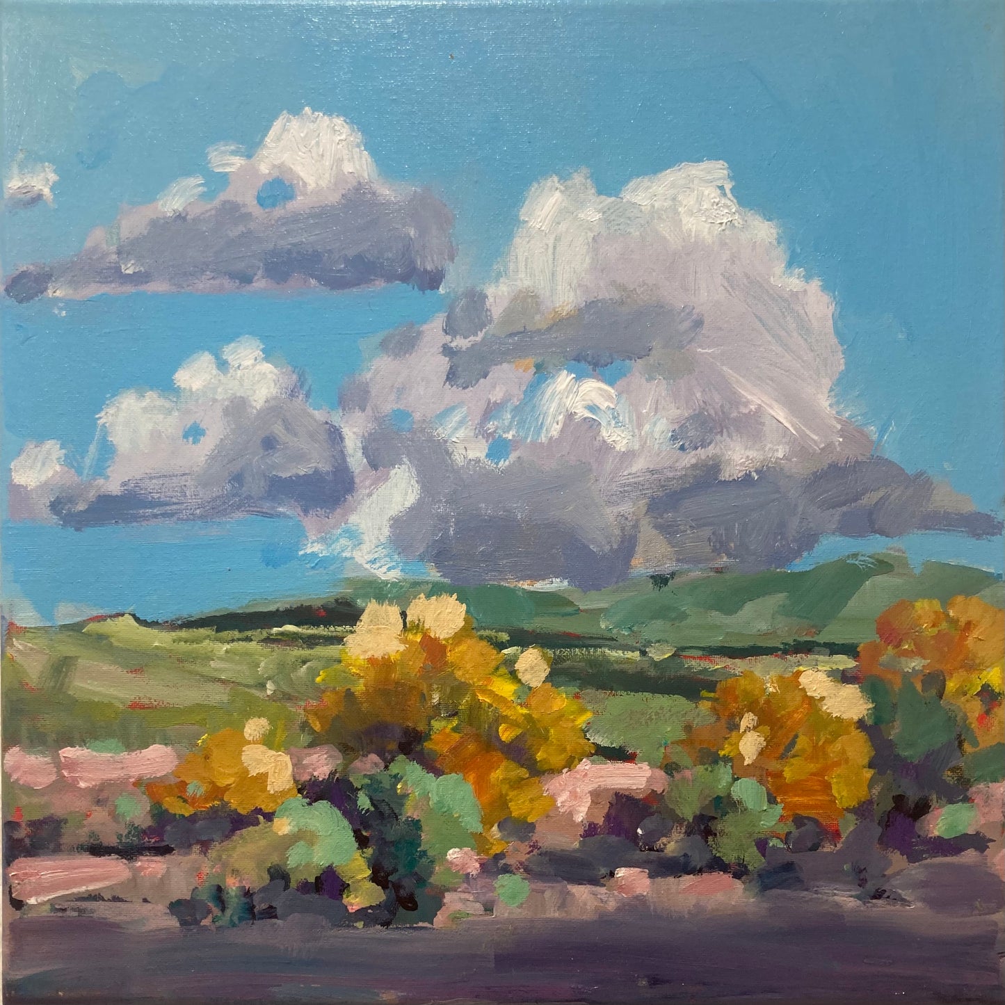 Never Enough Nullabor