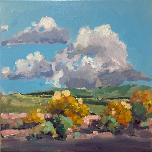 Never Enough Nullabor