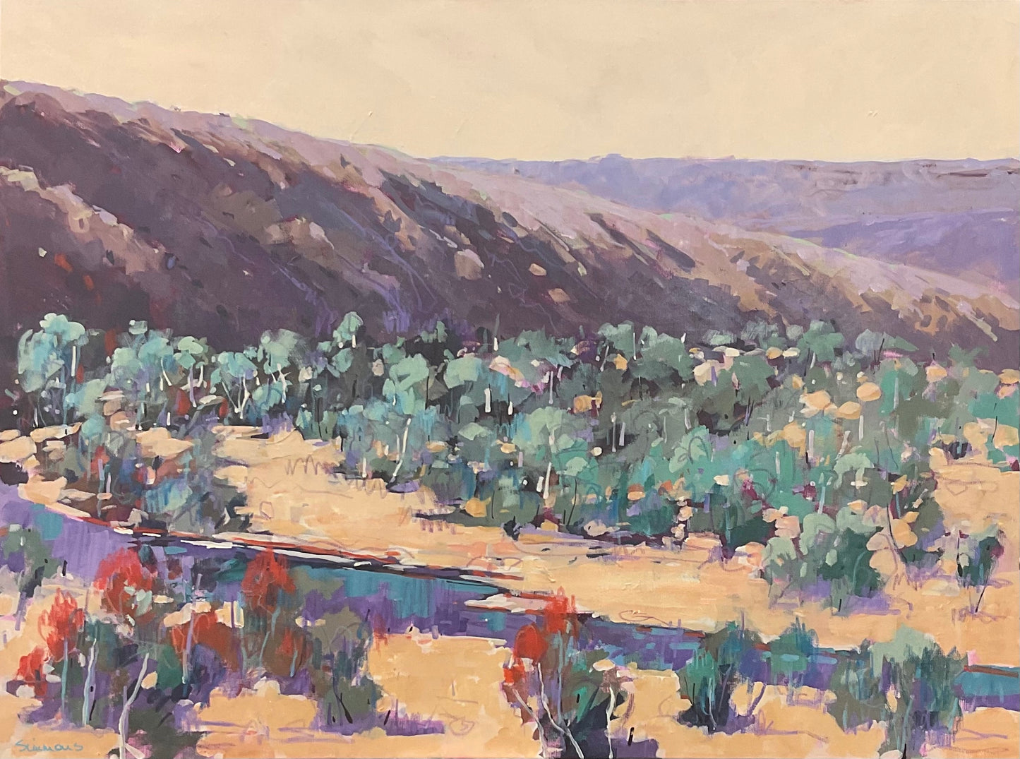 The Western Nullabor