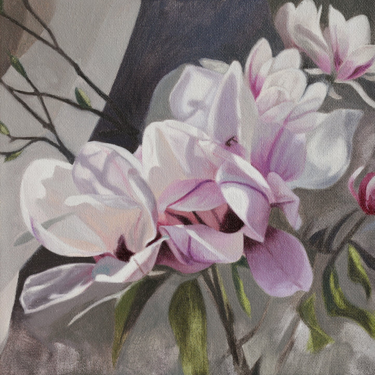 Echoes of a Morning Light