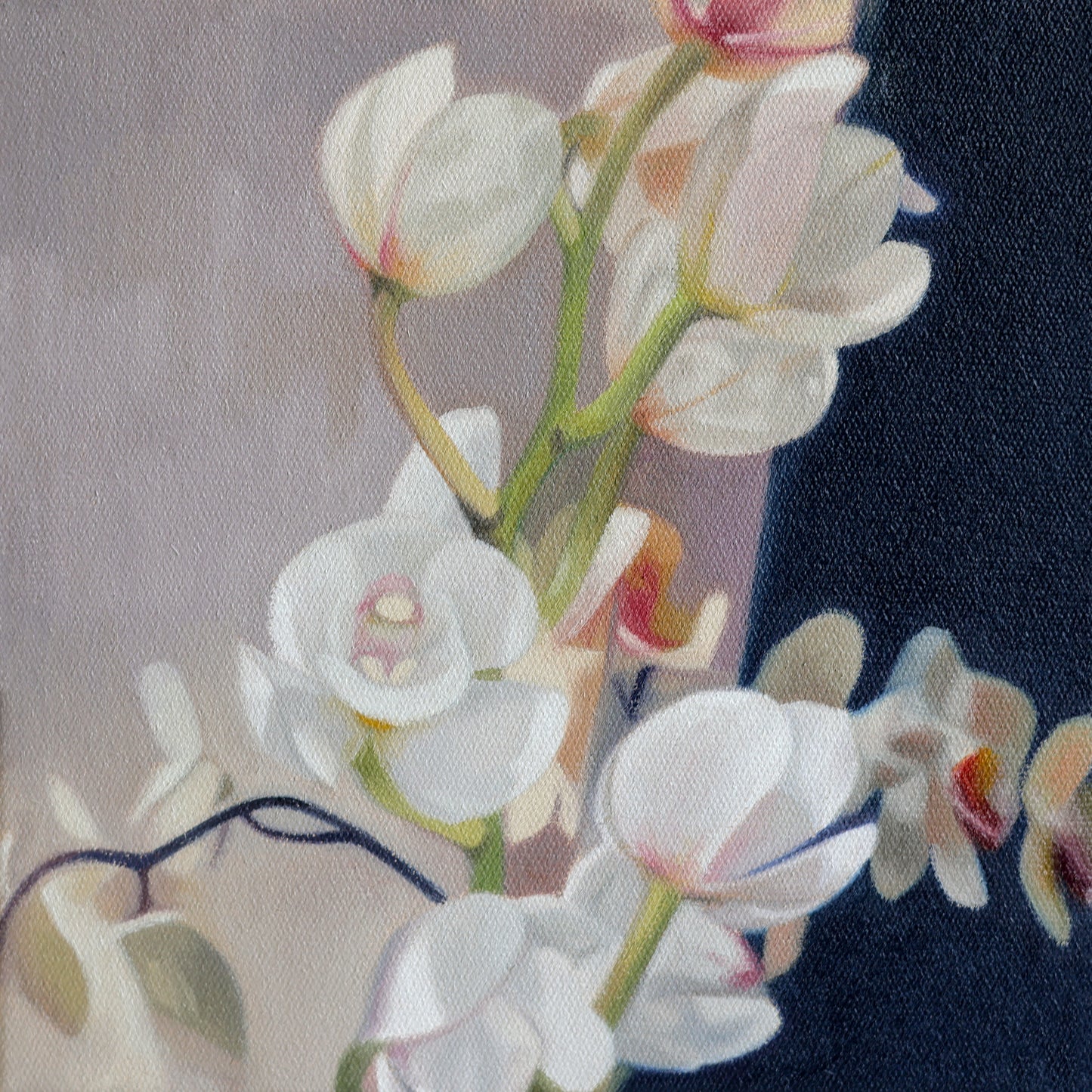 Quiet Awakenings (2024)