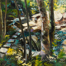 Load image into Gallery viewer, New Steps to Old Rocks