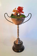 Load image into Gallery viewer, Mandy always wanted to be a trophy wife. After dating so many losers, she felt she’d urned it.