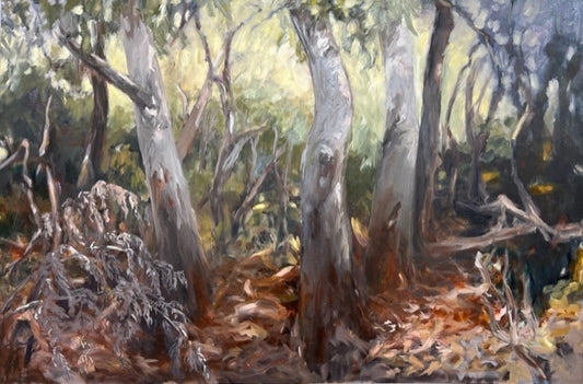 A Walk Along the Fairfax Track