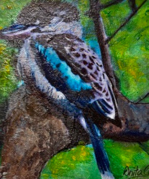 Hand-painted card - Kookaburra 2