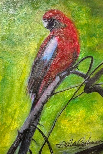 Hand-painted card - Crimson Rosella 2