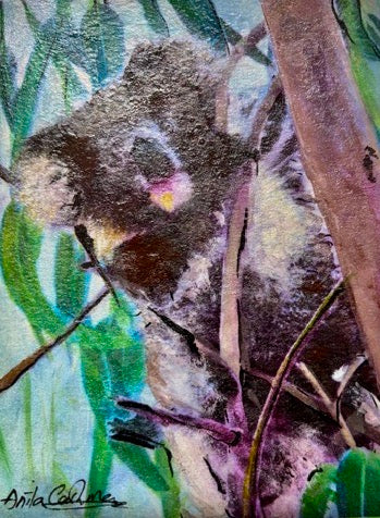Hand-painted card - Koala