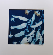 Load image into Gallery viewer, Lisa Shepherd