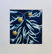 Load image into Gallery viewer, Lisa Shepherd