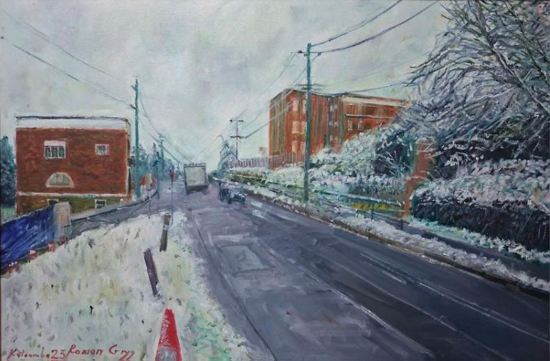 Lurline Street Katoomba in Snow