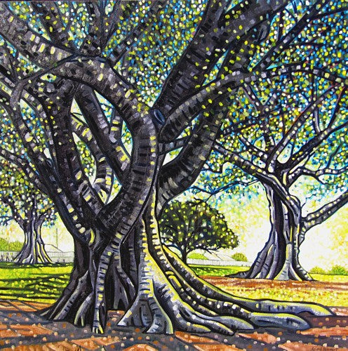 Card - 'Moreton Bay Figs'