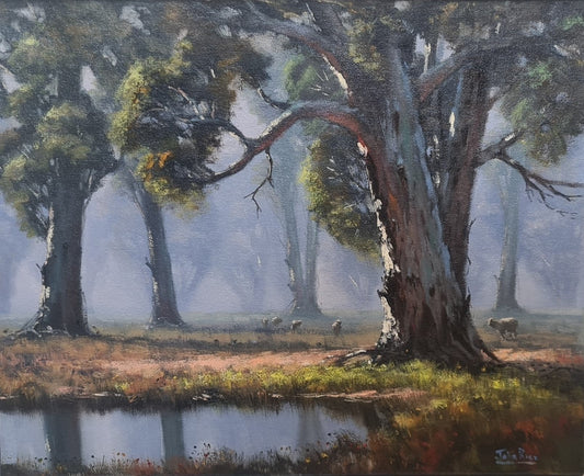 Morning Light at the Waterhole