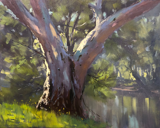 On the Cudgegong, Mudgee