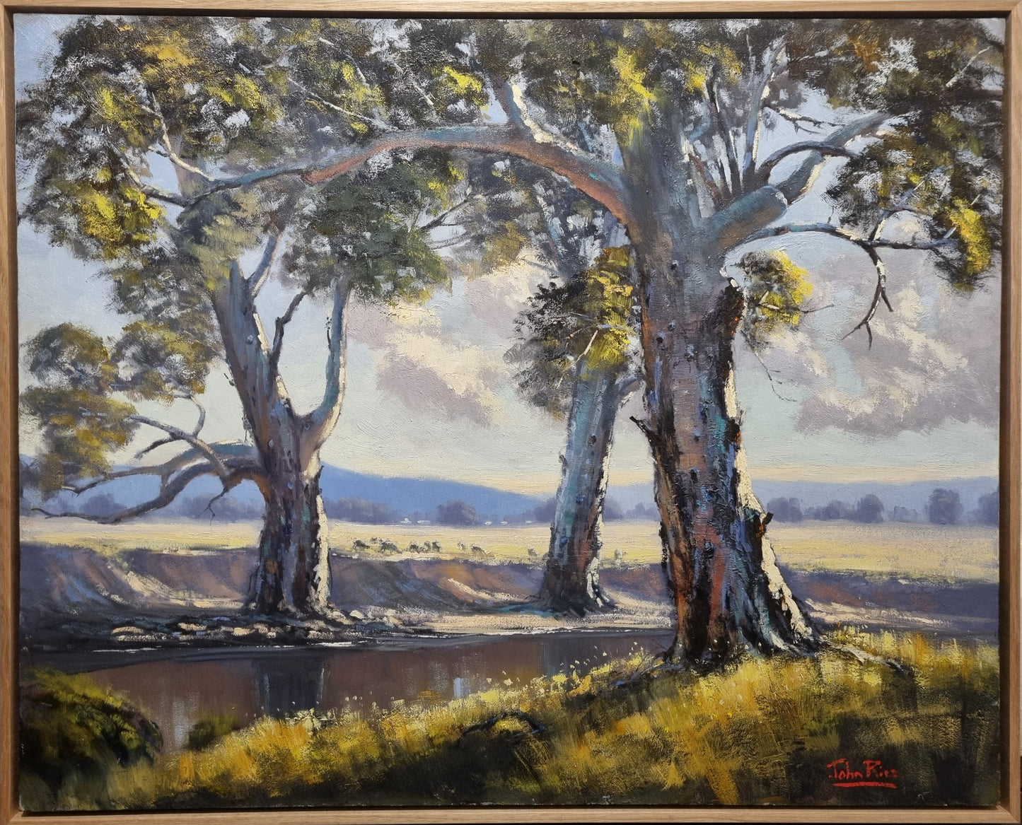 River Gums