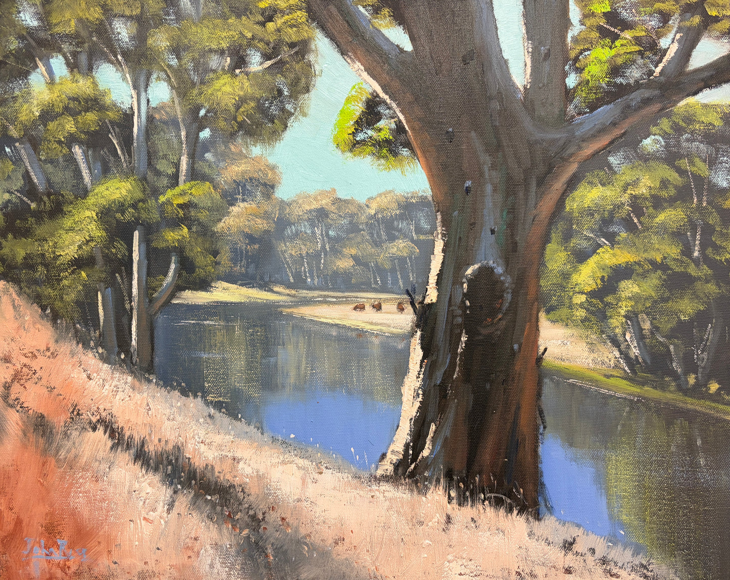 Summer Heat on the Macquarie