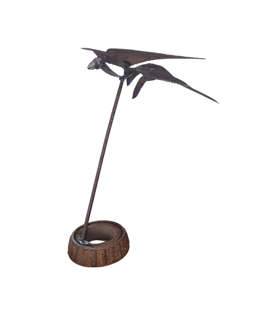 Swallow
