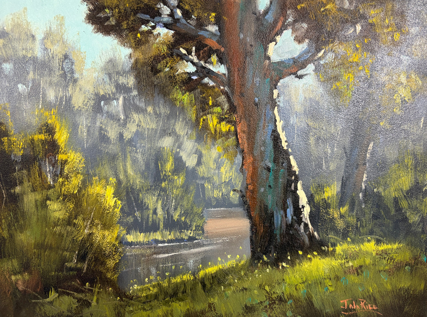 Unframed Original Landscapes by John Rice