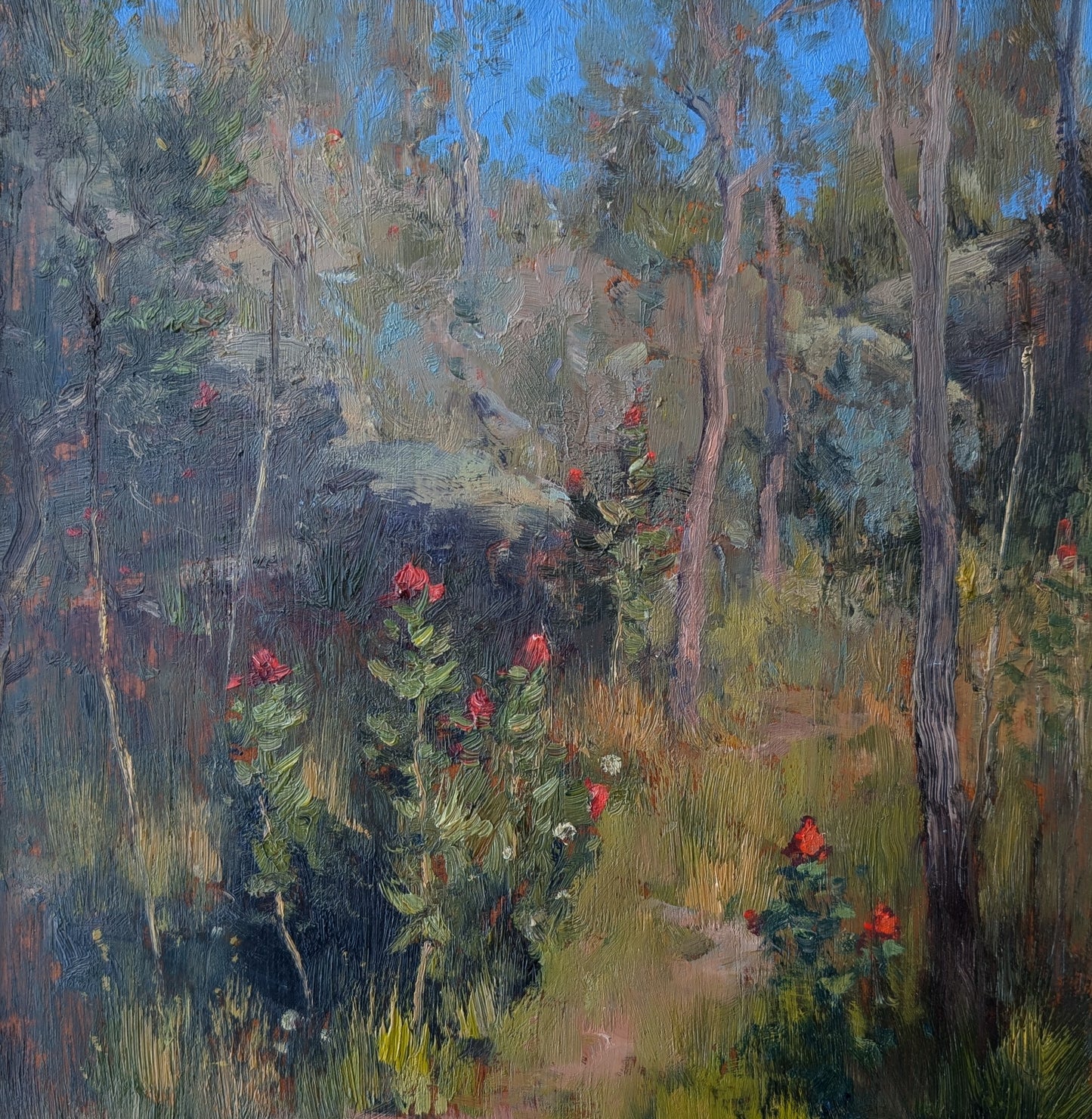 Walk Among the Waratahs