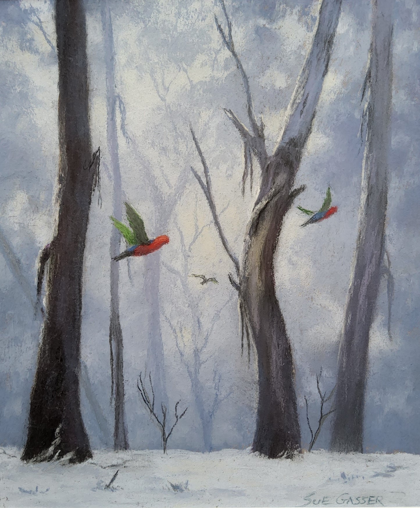 Flight Through the Gum