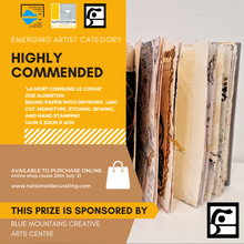 Load image into Gallery viewer, BLUE MOUNTAINS PRINT PRIZE 2021