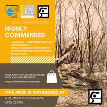 Load image into Gallery viewer, BLUE MOUNTAINS PRINT PRIZE 2021