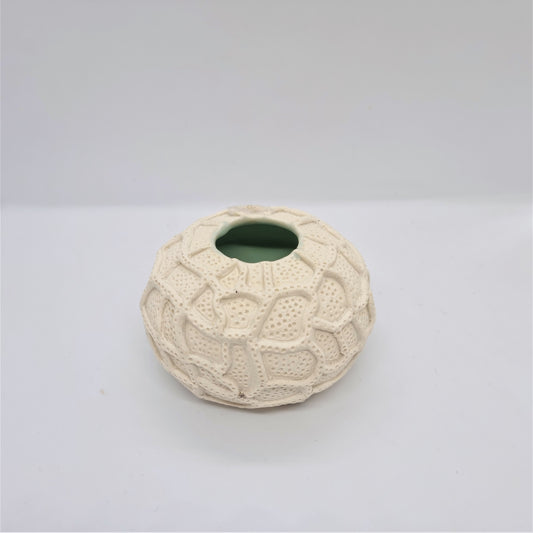 Welcome to Gallery NWC Bronwyn Campbell!