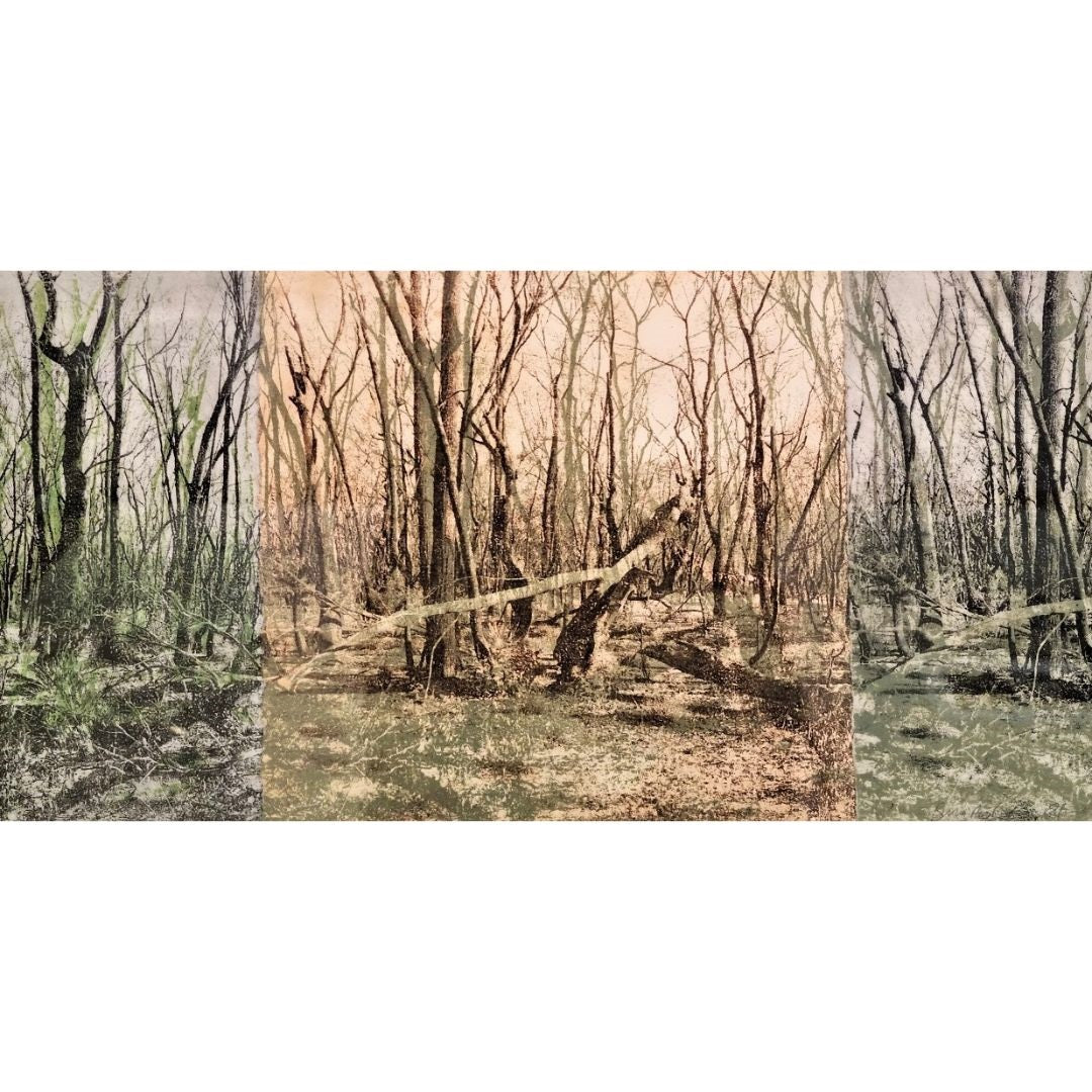 ARTWORK REMINISCENCE - BLUE MOUNTAINS PRINT PRIZE 2021
